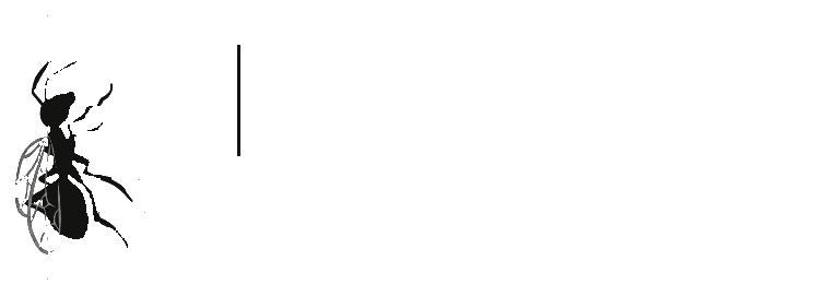 Braher Mixers de México